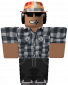 total-robux's picture